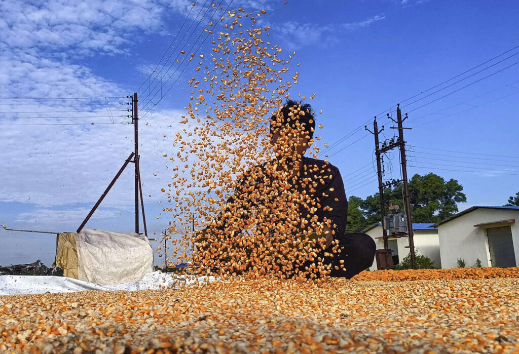 Fill vacant posts immediately to improve farm education, Chouhan tells ICAR, ETEducation