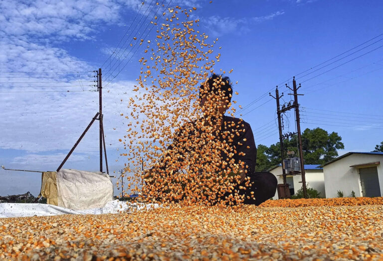 Fill vacant posts immediately to improve farm education, Chouhan tells ICAR, ETEducation