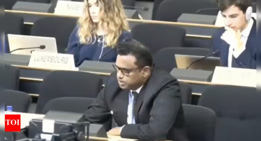 ‘Deeply ironic’: India slams Pakistan at UN; calls out persecution of minorities on its soil | India News