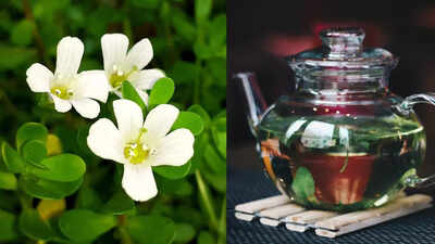 Brahmi Kadha Benefits: Traditional Brahmi Kadha: Why it should be consumed by children, and those over 45 |