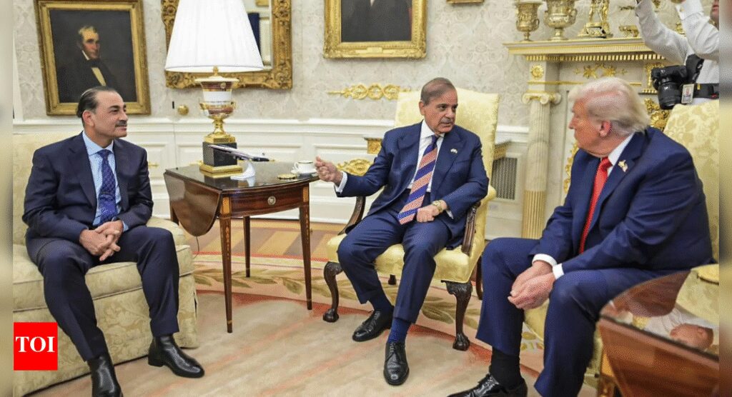 Pakistan pitches port on Arabian Sea to US; eye on minerals hub development: Report