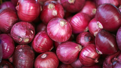 Adding red onions to meals can reduce inflammation: Top doc William Li explains how to do it right