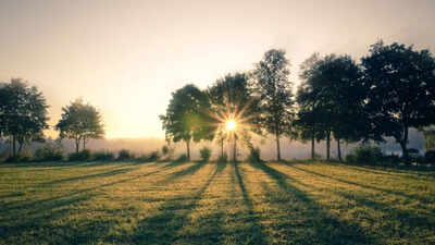 Reset your sleep cycle: Could a few minutes of morning sunlight fix your sleep?