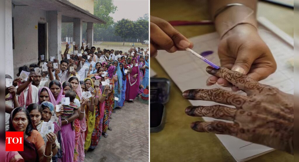 Bihar polls: EC allows 12 alternative documents apart from EPIC for voting; special arrangements for ‘purdanasheen’ | India News