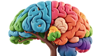 Meditation and health: Scientific insights into its impact on the brain and immune system