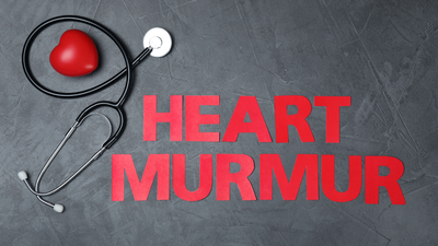 Heart Murmur Symptoms: When should one be concerned about a heart murmur? Warning signs to notice |