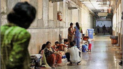 Drug regulator tightens safety norms after cough syrup deaths | India News