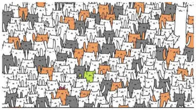 Optical illusion: Can you spot a sneaky bunny hiding amidst the cats? |