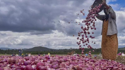 Pune farmer receives only Rs 664 for 7.5 quintals of rain-damaged onions | India News
