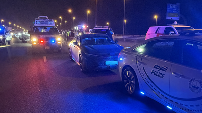 Dubai police rescue female driver after cruise control fails on emirates road | World News