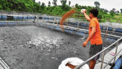 Water ATMs and fishing for profit | India News