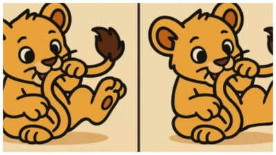 Optical Illusion: Only someone with hawk eyes can spot the 3 differences between these pics in 15 seconds! |