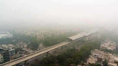 8 indoor plants to beat winter smog and keep your home air clean |