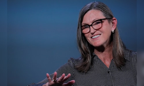 Ark Invest’s Cathie Wood sees potential ‘reality check’ ahead for AI stocks