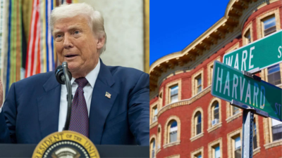 Harvard restores a majority of federal grants held by Trump administration: Here’s how the university is recovering