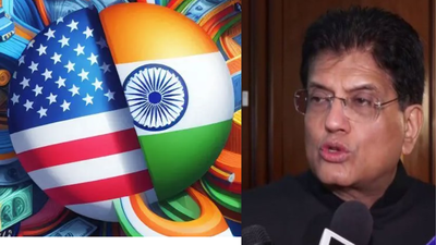 ‘Ongoing continuously’: India-US in contact at various levels for trade deal; FTA talks also on with EU