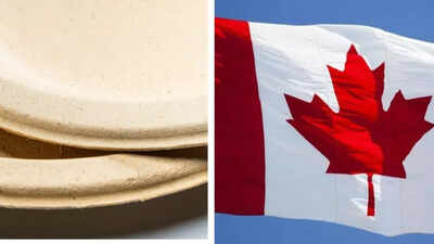 Canada announces investigation into paper plates; Social media users troll govt; ‘Feeling very much safe’