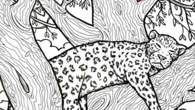 Optical Illusion: Only an eagle-eyed person can spot the fish in 10 seconds |