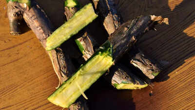 Giloy side effects: Liver risks and health precautions you must know |