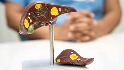 Harvard-trained doctor reveals 8 vegetables that boost liver detox and gut health naturally |