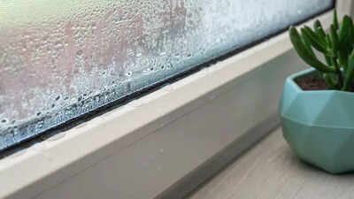 How to prevent window condensation in autumn using baking soda |