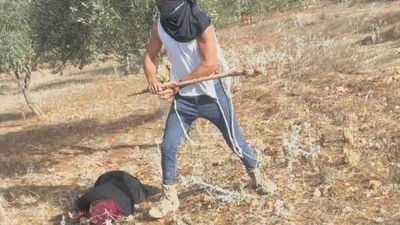 Struck over the head: Israeli settlers attack Palestinian farmers in West Bank; video captures assault on woman