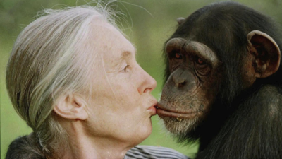 The ‘chimpanzee whisperer’: British primatologist dies at 91 – Who was Jane Goodall? | World News
