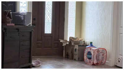 Optical illusion: You will be renamed a genius if you can spot ‘Rufus the cat’ in under 10 seconds!