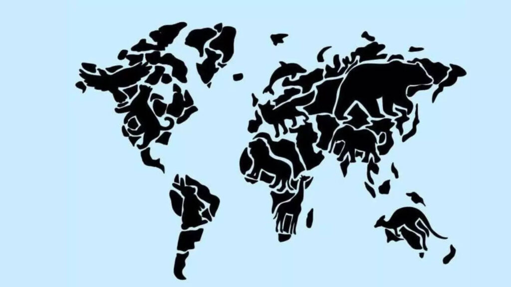 Koala, bear, elephant, lion, eagle, rabbit? The animal you see first reveals what irritates you the most