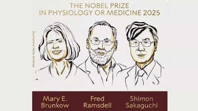 Nobel Prize 2025 in Physiology or Medicine awarded: Who are the winners, why they won |