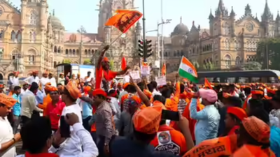 ‘Yellow storm’: OBCs to protest Maharashtra quota | India News