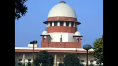 Telangana govt to move SC against HC stay on hike in quota in local body polls | India News