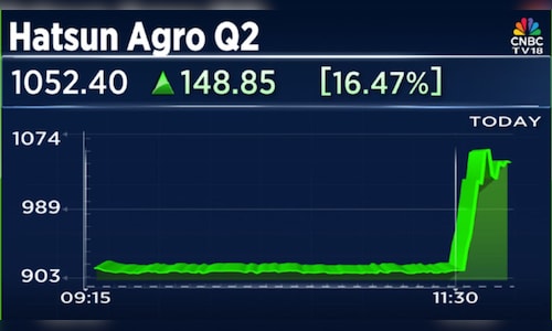 Hatsun Agro Q2 Results: Stock surges 20% as acquisition boosts earnings