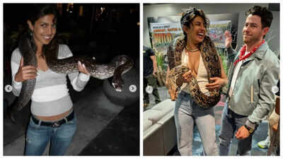 Priyanka Chopra shares her Then and Now pics with snakes; asks fans ‘Notice a theme here…’ |