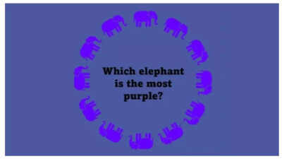Optical illusion: Which elephant ‘appears’ the most purple in colour? |