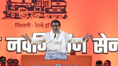 ‘9.6 million fake voters added’: Raj Thackeray urges EC to halt Maharashtra local body polls; opposition leaders plan march | Mumbai News