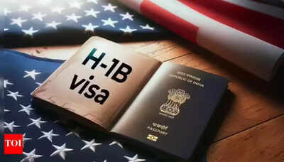 H-1B pushback: US Chamber sues govt, says fee violates immigration law
