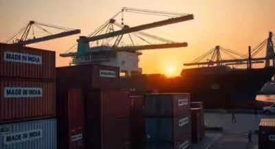 Government will not rush to bail out exporters hit by US’s 50% tariff