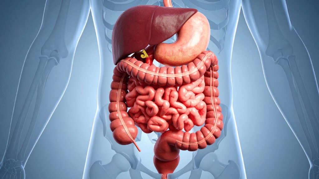 Jeera Water Benefits: Bloating after dinner? Try this simple kitchen solution |