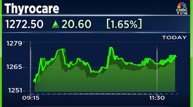 Thyrocare Share Price: Promoter sells 10% stake via market trades