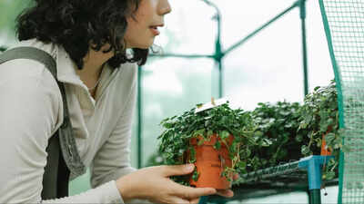 Microshifting in US: How short, flexible work bursts boost productivity in American schools?