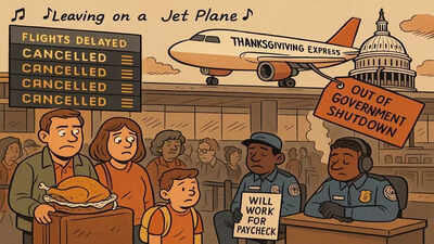 Over 100 flights cancelled: How US govt shutdown is affecting travellers; right before Thanksgiving | Business