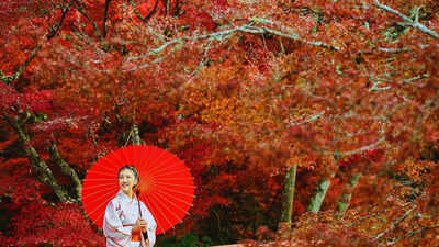 Japan Travels: Japan doesn’t do ‘Normal’: 5 unique things and places you’ll rarely see anywhere else