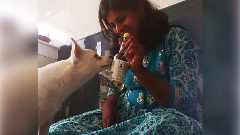 When a dog walks into a bar, it’s not a joke anymore