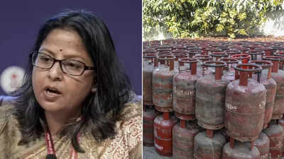 ‘Issue still worrisome’: Govt offers extra 10% commercial LPG to states backing PNG transition push