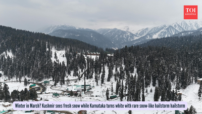 Kashmir Snowfall: Winter in March? Kashmir sees fresh snow while Karnataka turns white with rare snow-like hailstorm hailstorm |