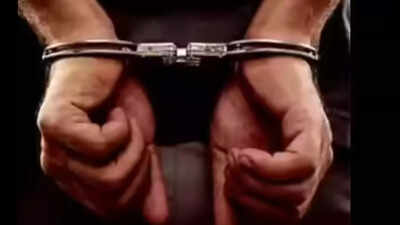 Triple murder in US: Man arrested after 3 found dead inside camper in North Carolina