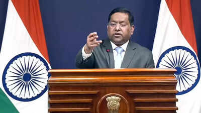 ‘Peddling lies and frivolous narratives’: India rejects Pakistan remarks on banned terrorist organisation | India News