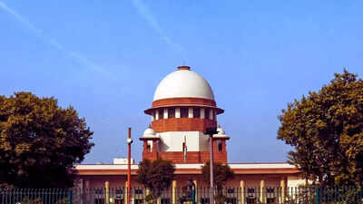 ‘Will take your English exam right here, score 30%’: Supreme Court junks AI-drafted PIL, schools Ludhiana cloth trader