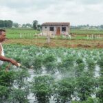 China urea shipments to India hit 3-year high; Russian supplies also rise this fiscal